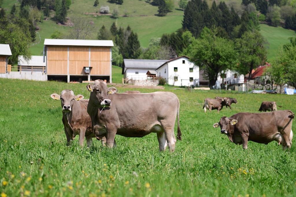 Ekoloska Turisticna Kmetija Pri Lovrcu Tolmin Exterior foto